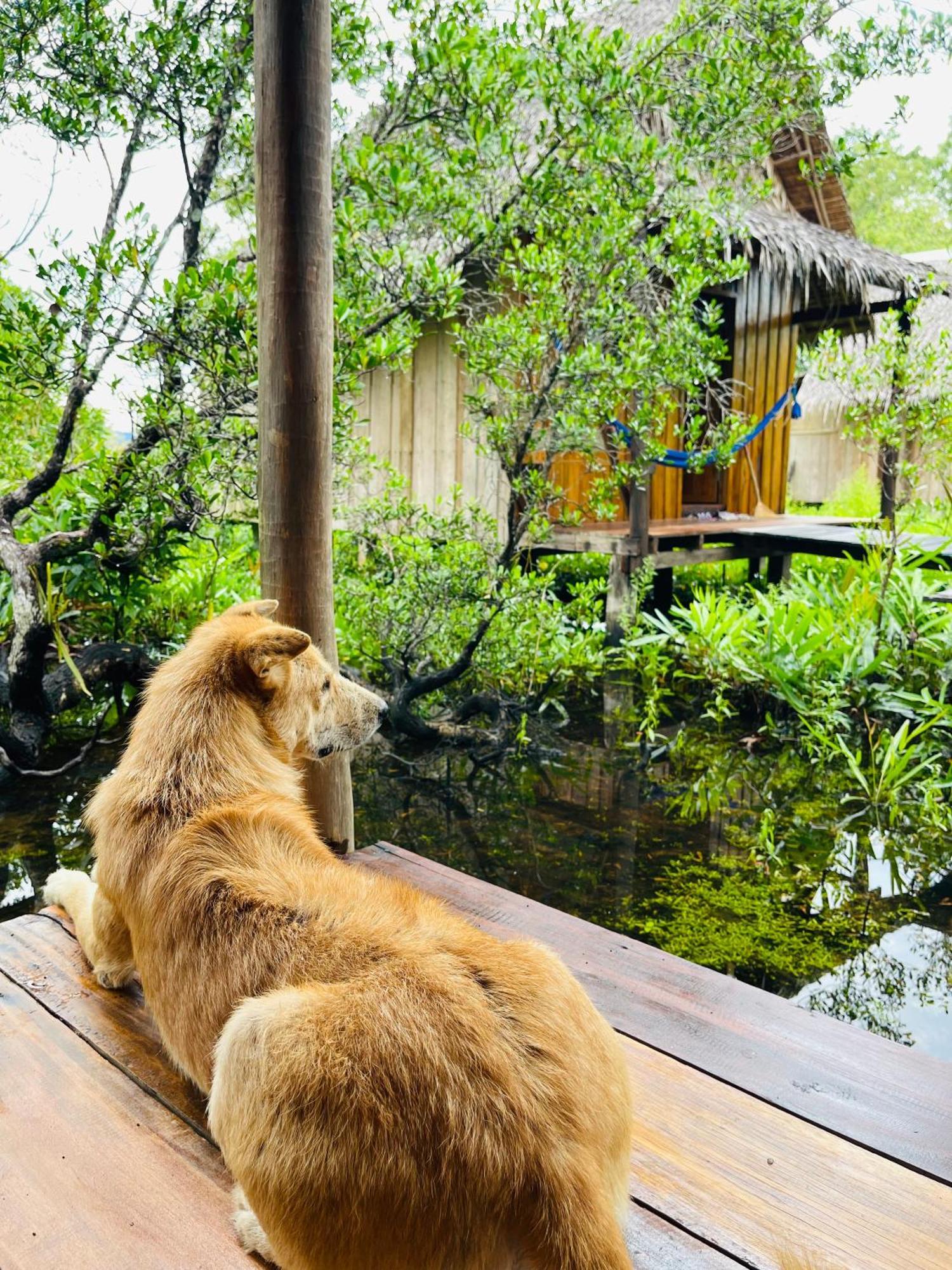 Lily'S Riverhouse Prek Svay Village 外观 照片